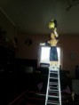 /album/wwe-figs/a20121015-180158-jpg/